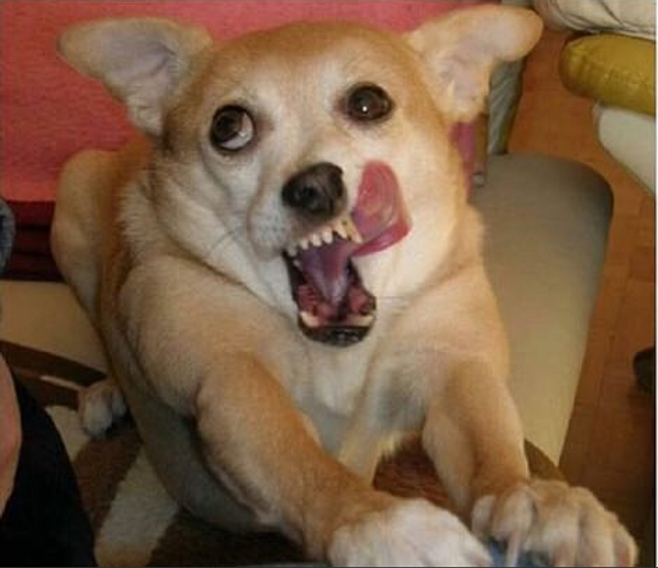 841f725ad5ab838a4bf51ad42d