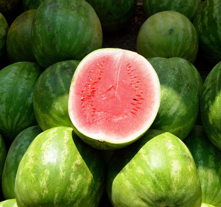 8424625fbfa40121e39f95a407