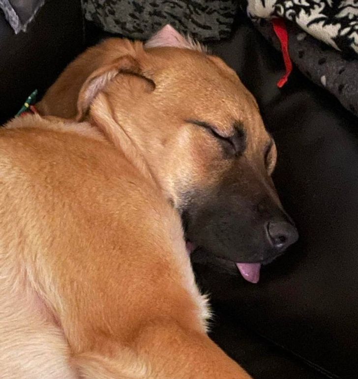 84268b523295bf6b5c77657851