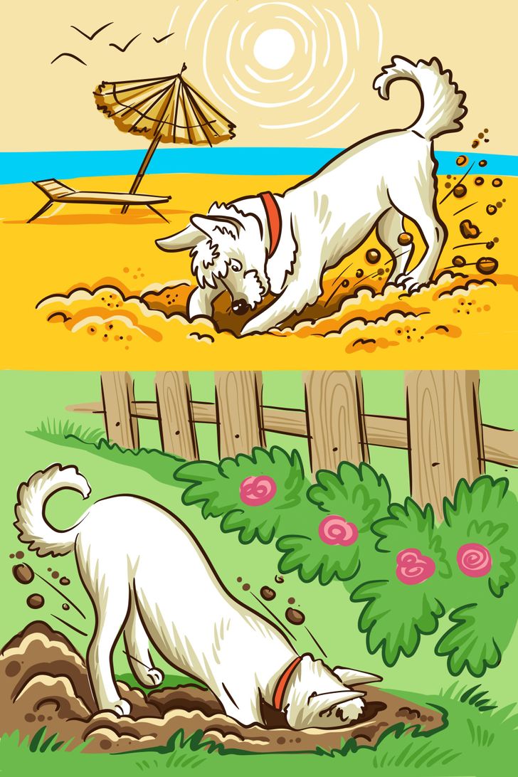 842b5b5ebc8bae5b052427c717