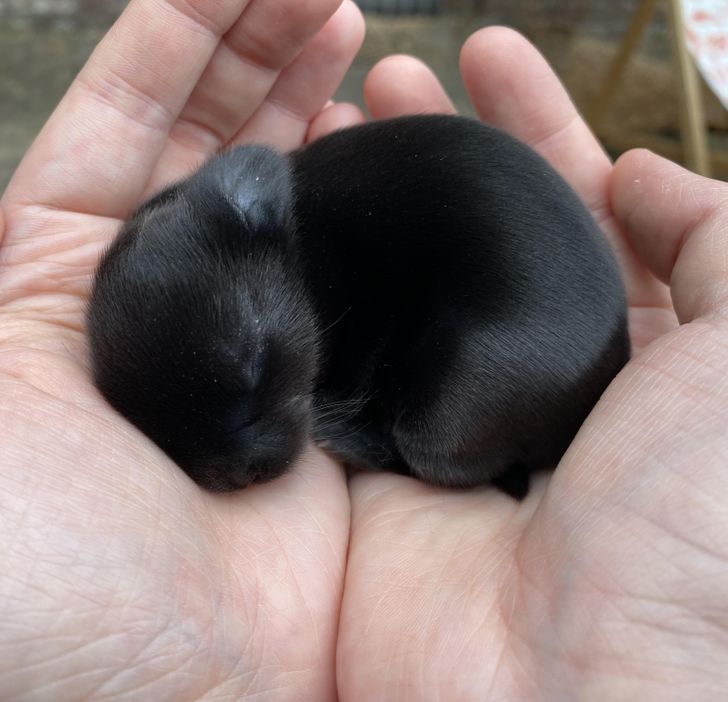 84314f5b5ead0dee80c472e406