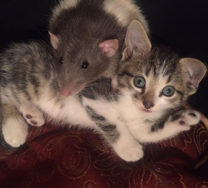 8432fa5f7d9fdd275304f6b8a9