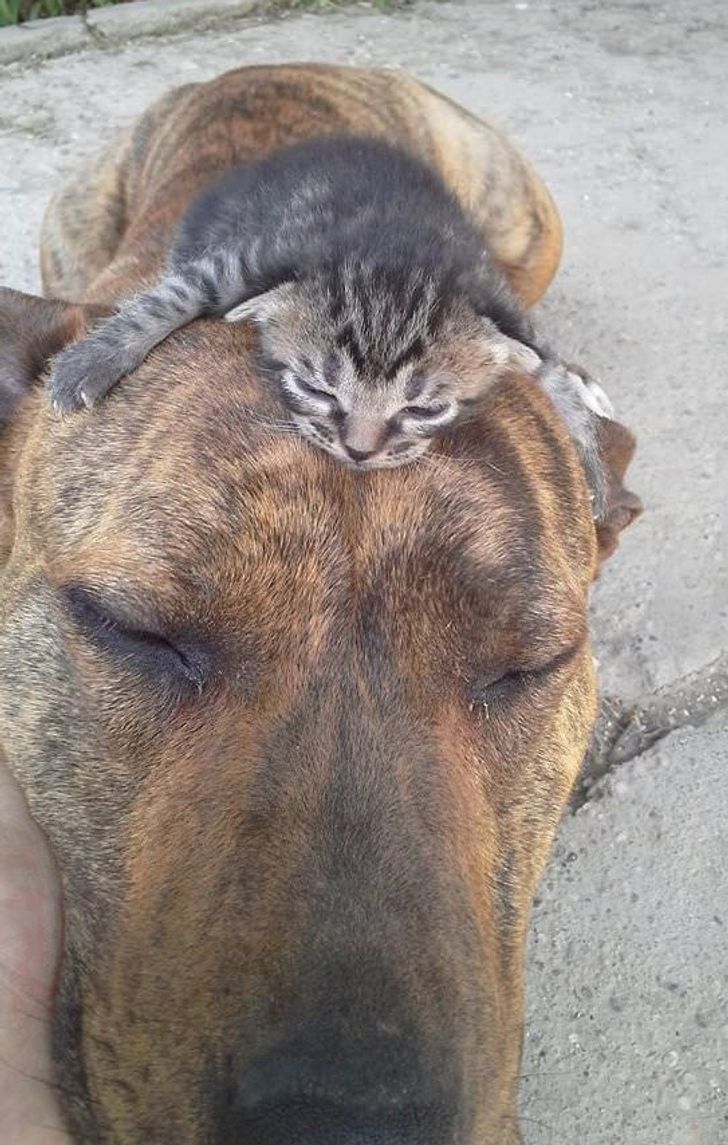 8434aa5e5dad4fee46e2c83859-1