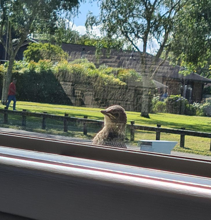 84447f58adb6a20e3d11568516