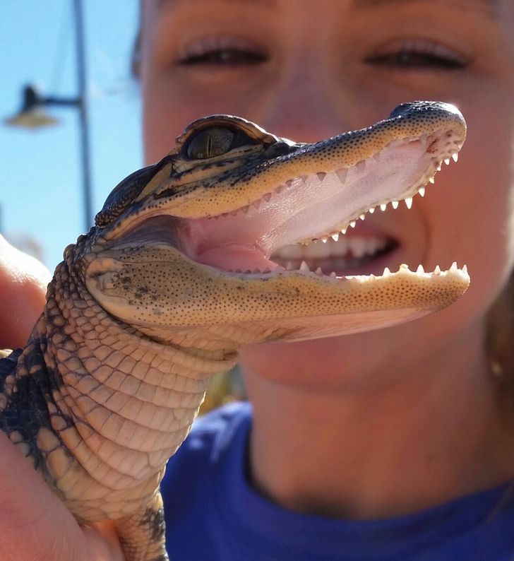 8445475872a59f280c00307d37