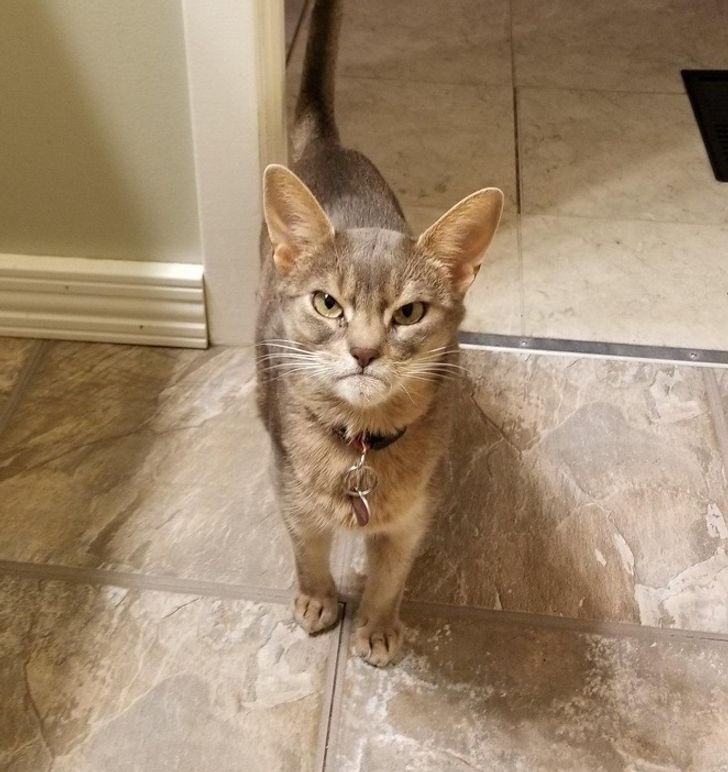 84486152e1a73e72865d000eaa