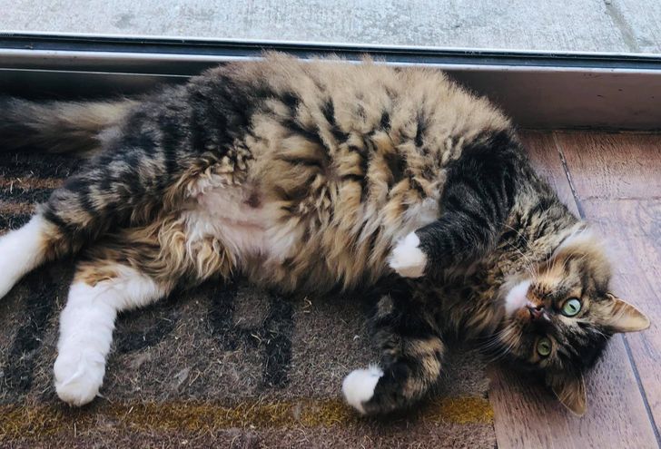 844d275f05a7695513cd94b2a8