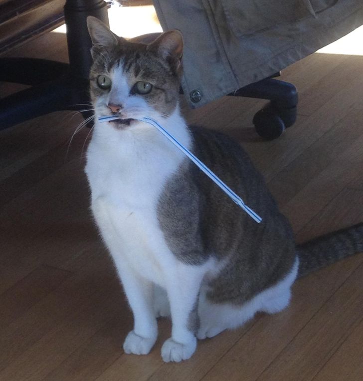 8454cd56d69757020e78f0c0d0