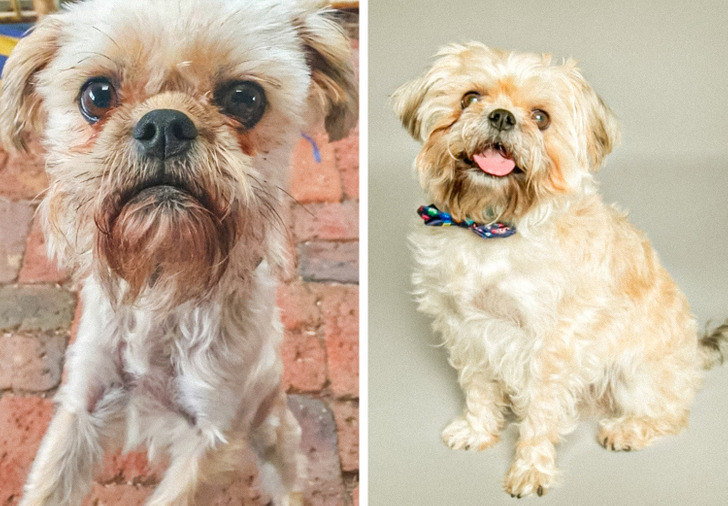 845a8455daa18737c2703cda91 845a8455daa18737c2703cda91