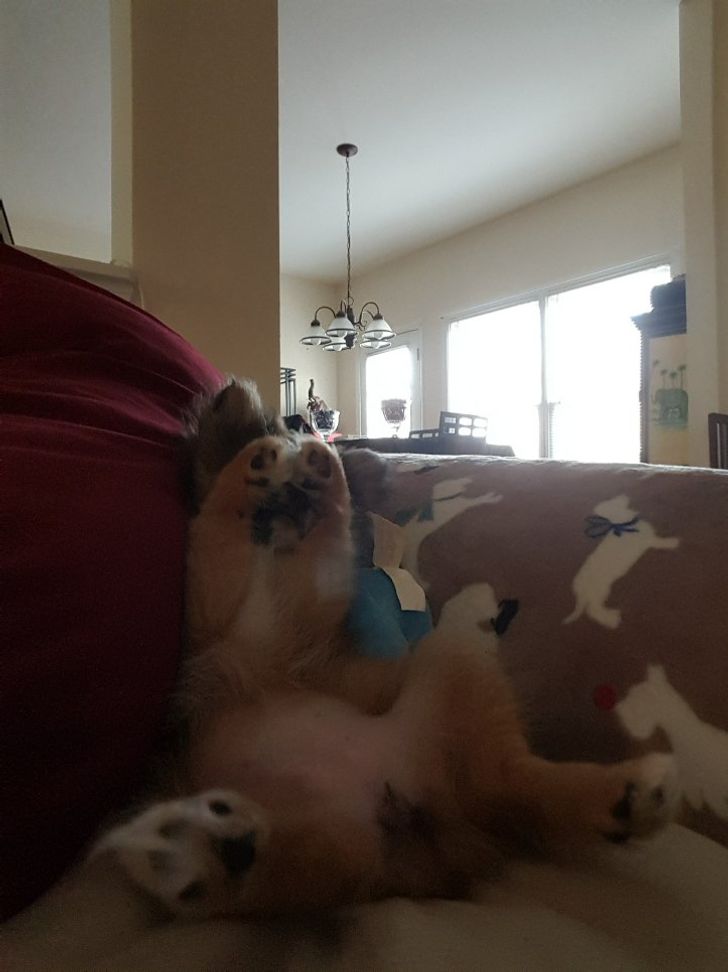 845d645e548c766894f8343c24