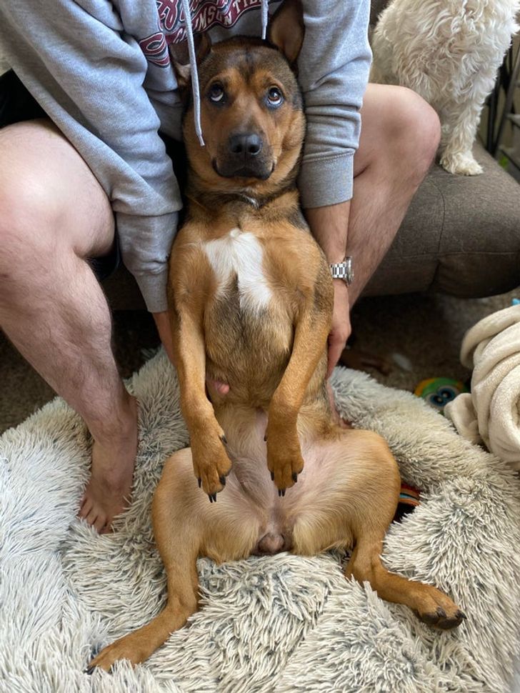 845e115674bce31d80801a41cc