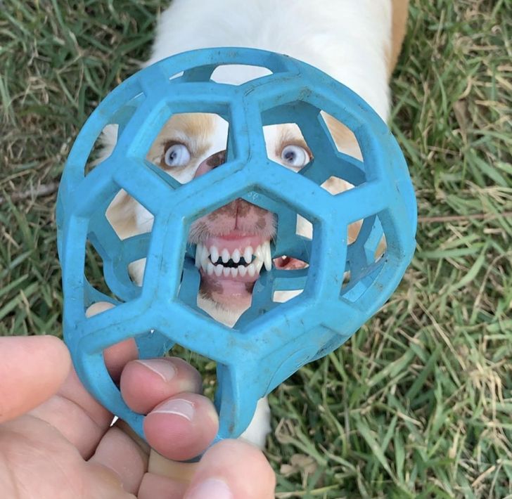 84651458b58901197b4782d574