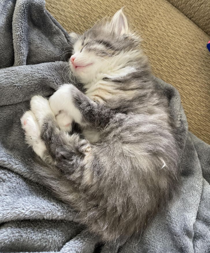 84652e5288a4815f91f4836112