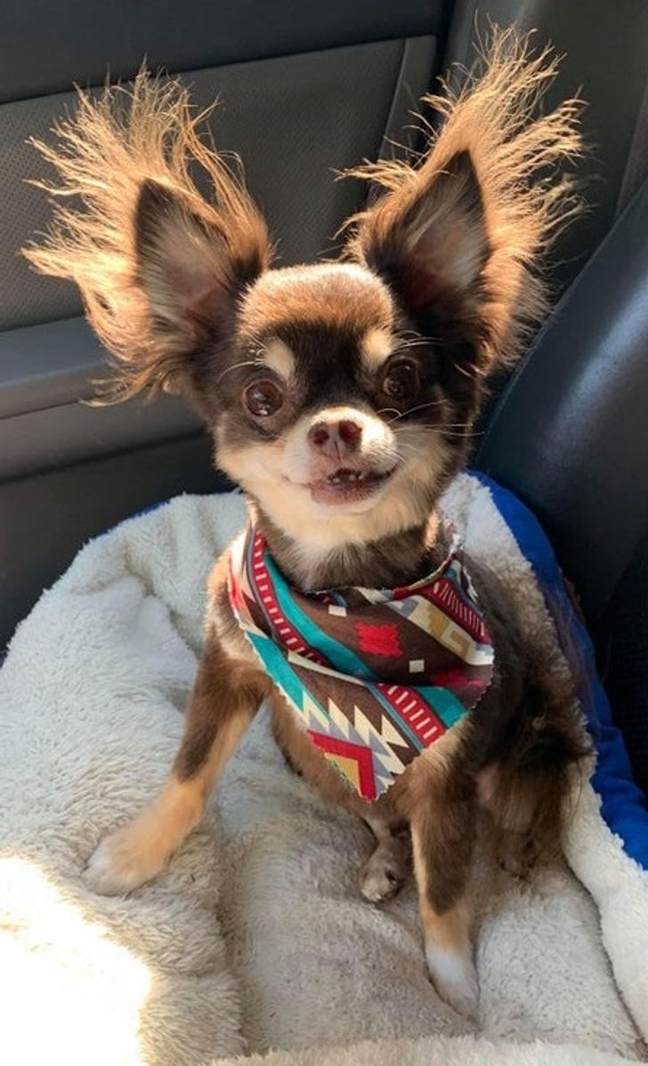 8468be59e9ac957d9234180751