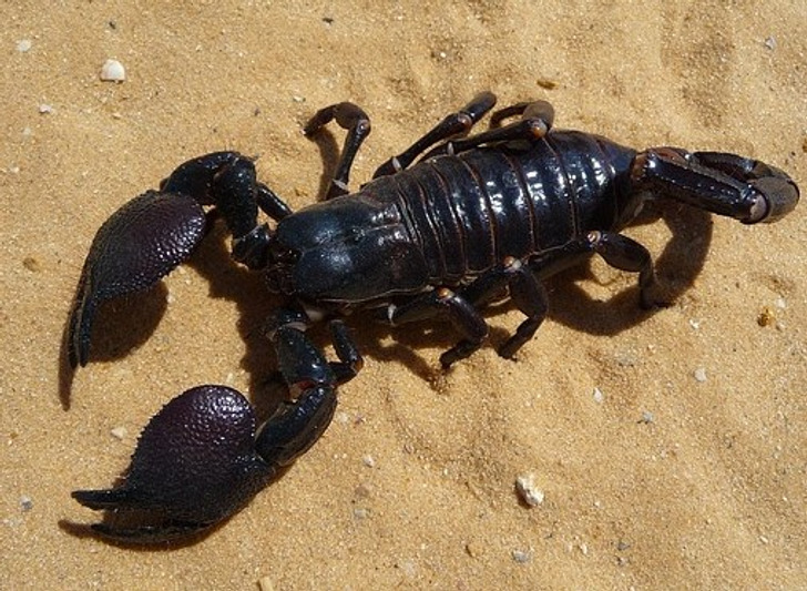 847efe56c183ecb08227b38745