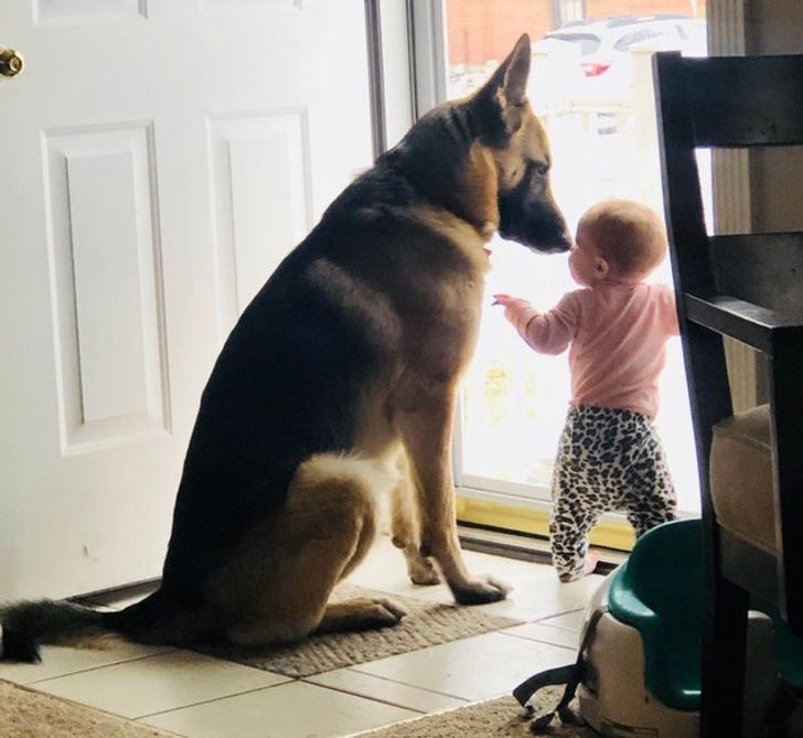 8482f75dbba5250c06ea19c82b