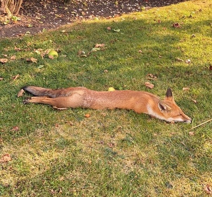 84a03d5e7e88927103dfd9078c