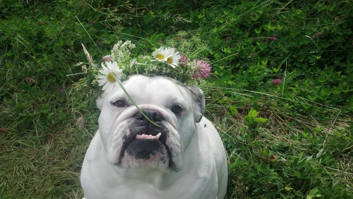 84a4b554258619808708b79f21