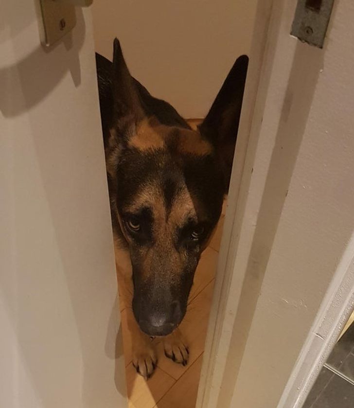 84a77f5a6b87f164b64e42b934-1