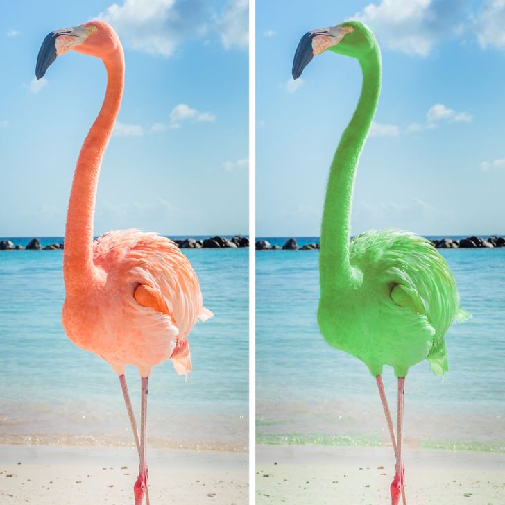 84aacd59e0ace16f843a57f56d