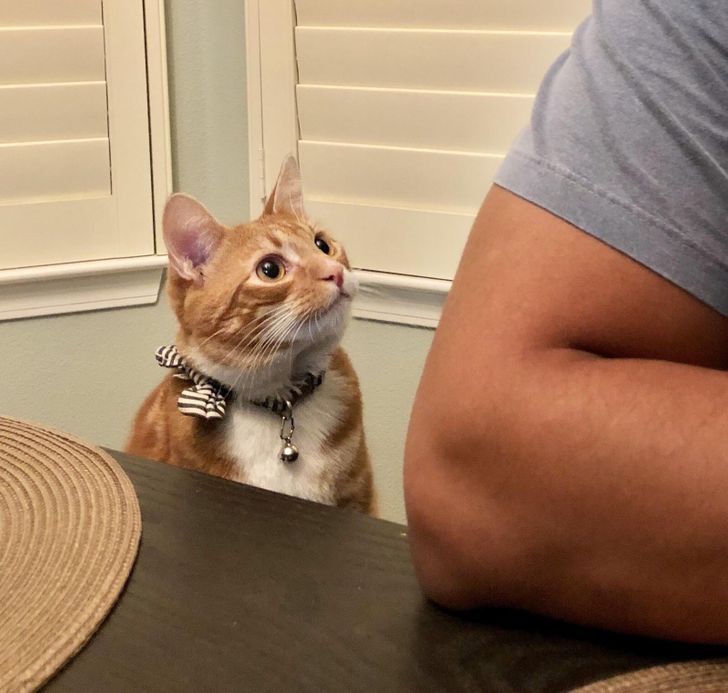 84bf66539e8cf6e4abd36dfd0c 84bf66539e8cf6e4abd36dfd0c