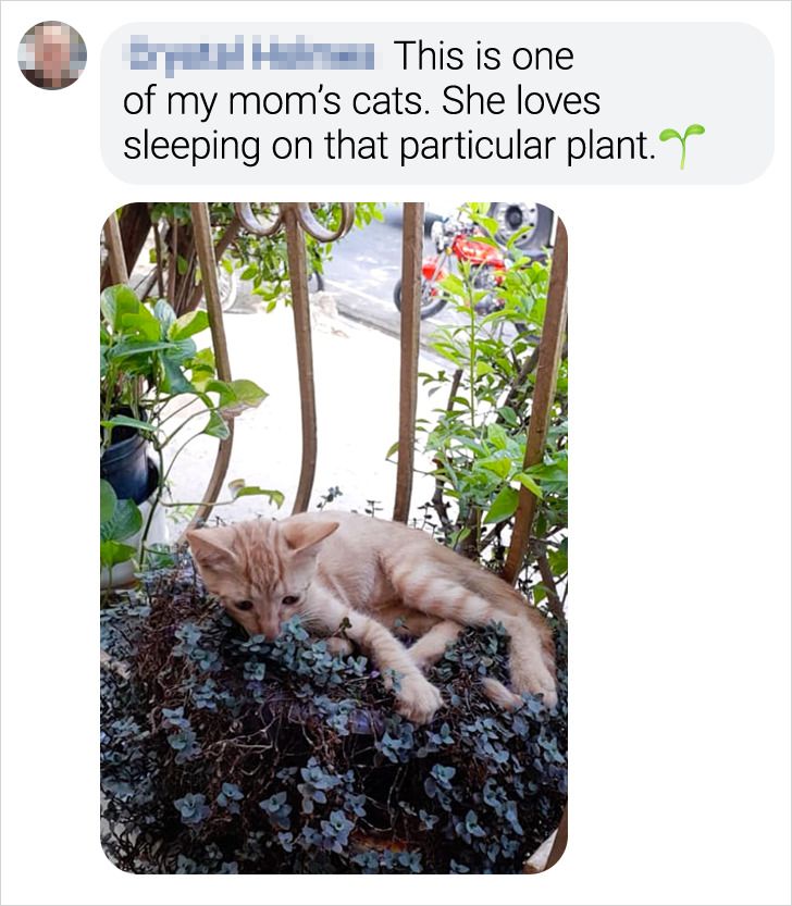 84c48954fca67a40b23c654761