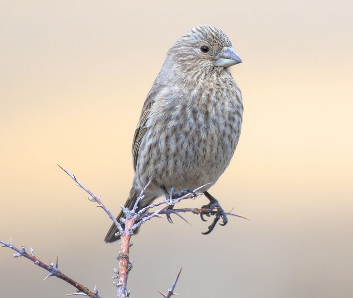 84c67459a7a6600af174d764fa