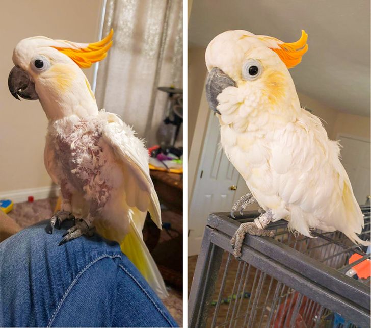 84cd1a5c4bbac2522ab4f26abe