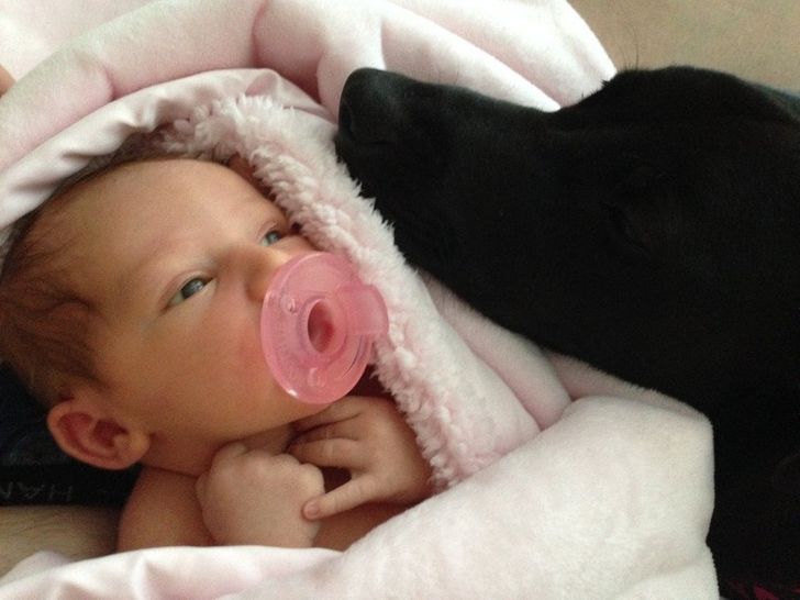 84cd5f52378c88ece741d5fe9d