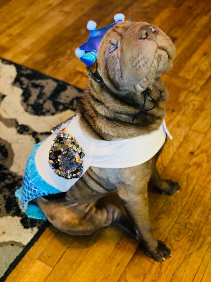 84cf3f599fb5ae38166846ddcc