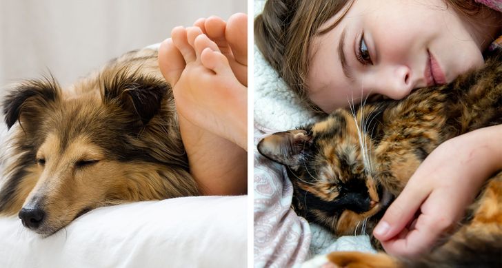 84d4015ff2a4182f60508ca021