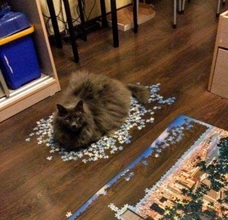 84d6445860957518dec0e57d75