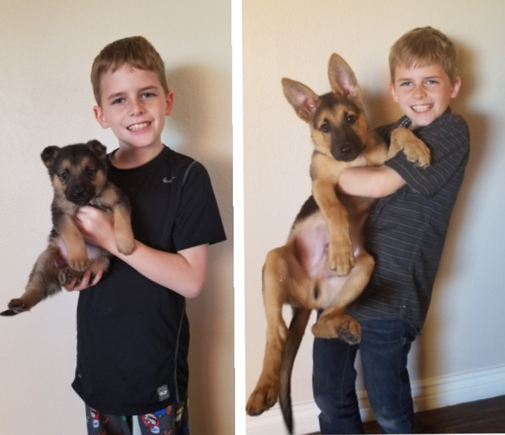 84db2c5e7292fae24c52a22ba0