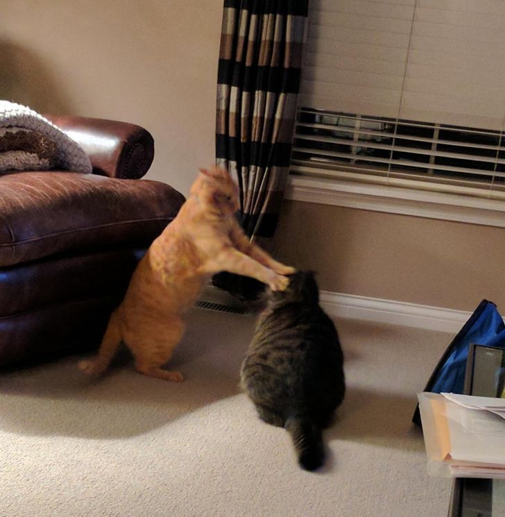 84e26e53c0bcf73e7e4d1c6632