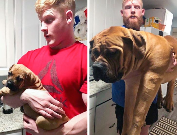 84e8665d63a90b8c6653fe72ca