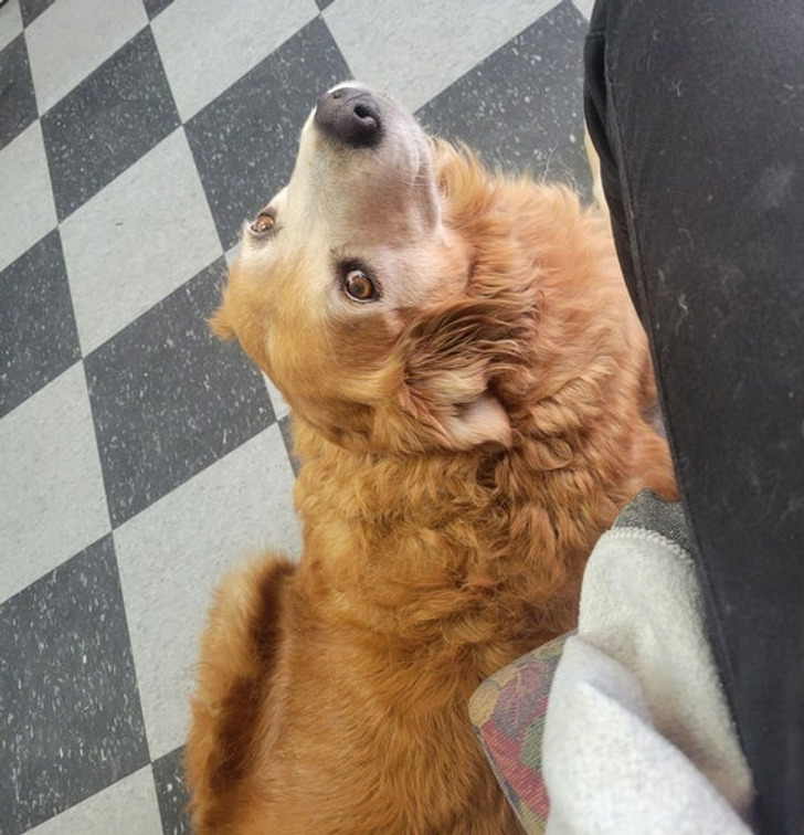 84f46d5b2b9c7dbc5d07104a0f 84f46d5b2b9c7dbc5d07104a0f