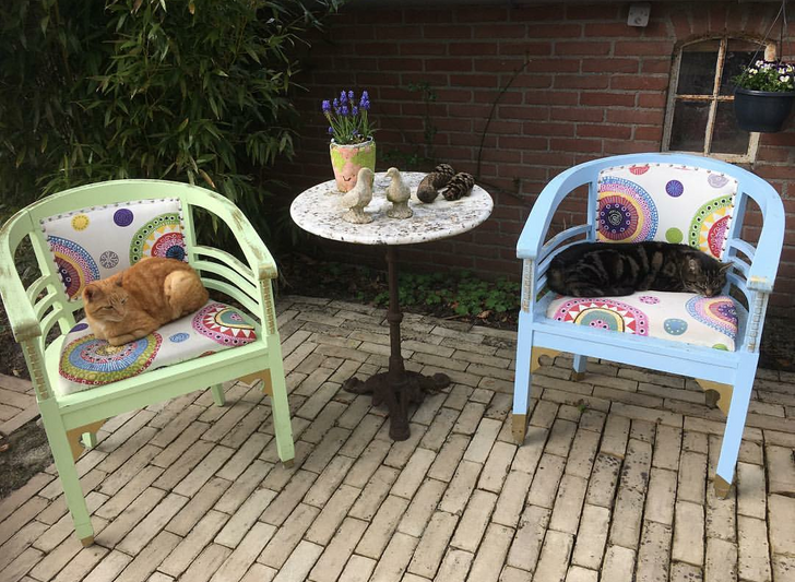 8501d858c8a6ffa5cef4c85d03