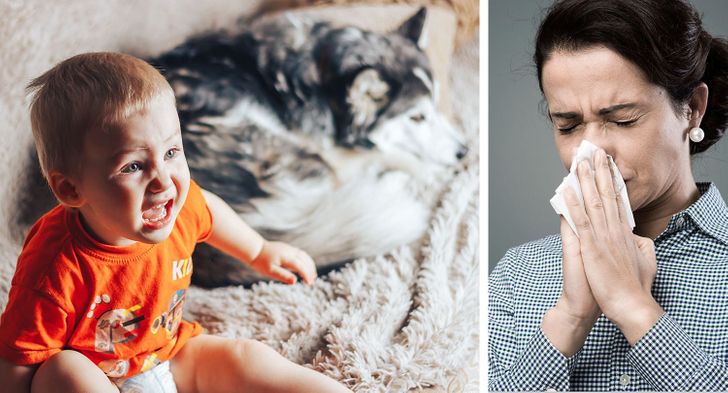 85089a52e596e3986b77d61f10