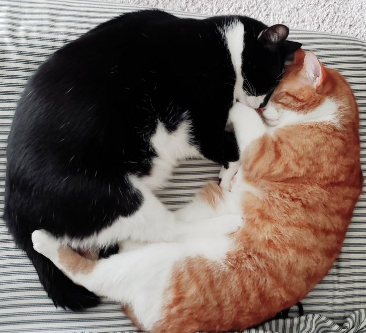 8508b05fe69964cdef67949d2e