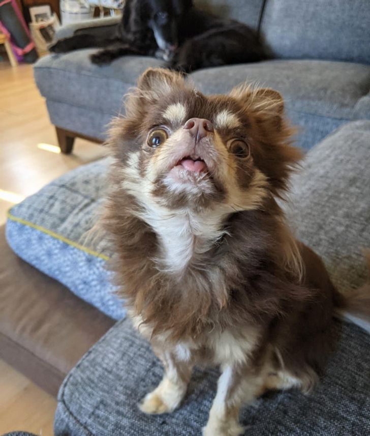 85096b51459e1d8459bc20ebeb 85096b51459e1d8459bc20ebeb