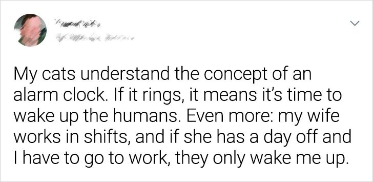 850ac45478a3c3aaec4bfcc063