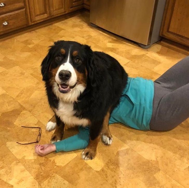 850d0559f7b21fa464211933d0