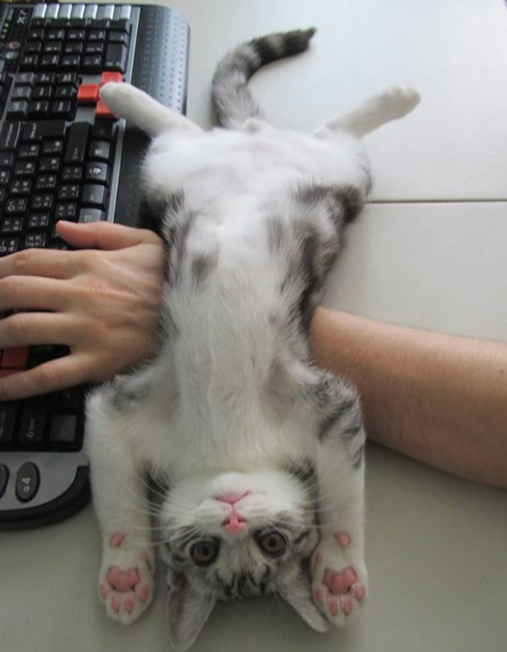 8510865d87b7d8bbd5382714f1