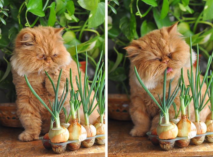 8510a455cfa2921da34f9420a7