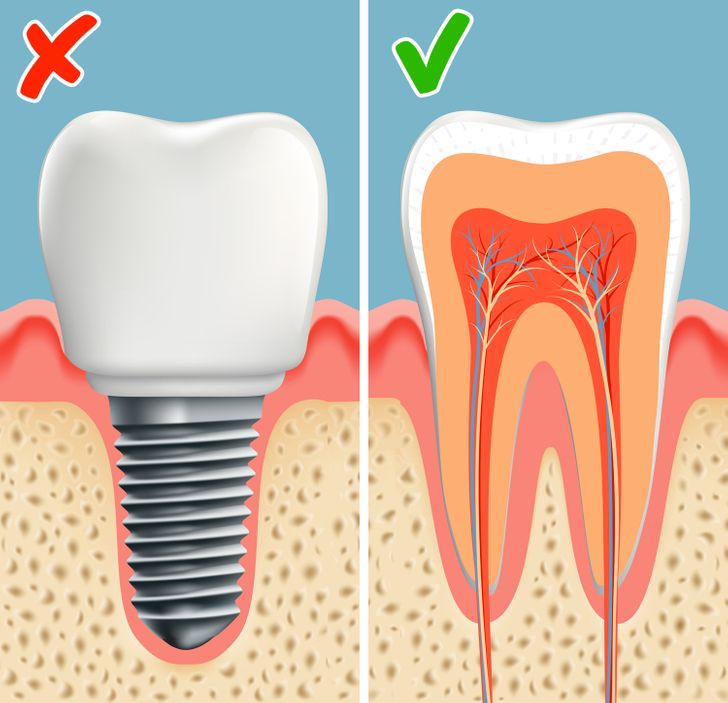 8513e75730ab5e233c67b0fdc7