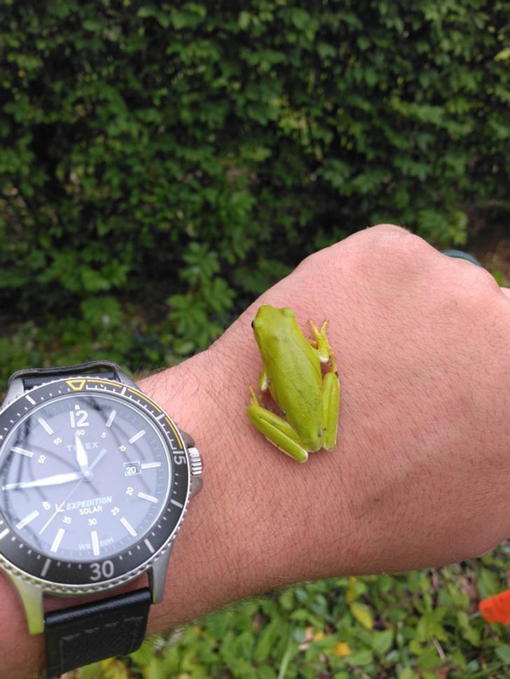 8514cc5effb215addf4c3ae643