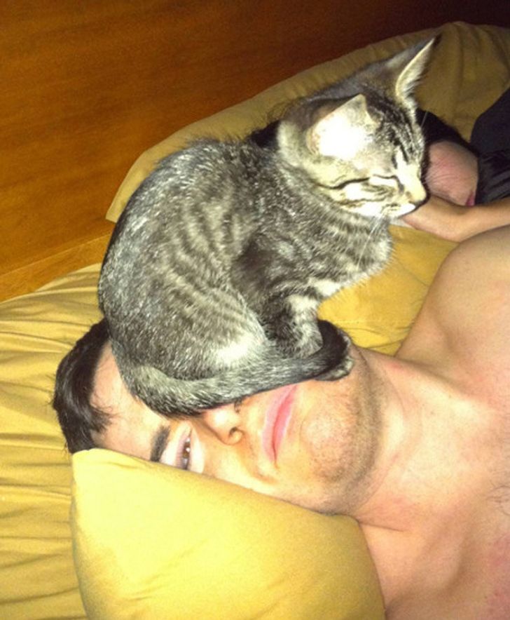 85186c5e82ada90f6b96166db5