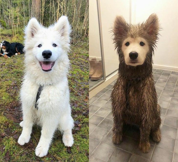 85226f5c21af0233cafb70005e