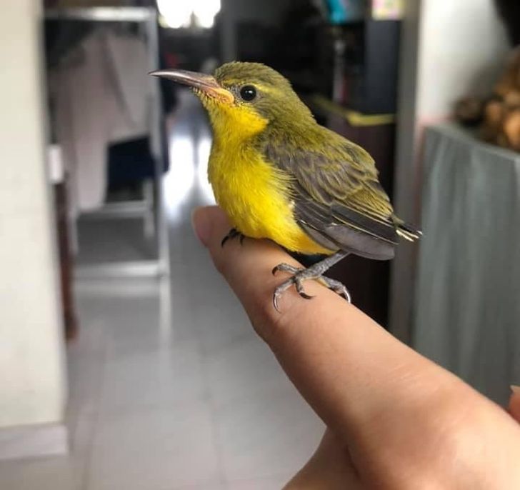 852f365f1d854b14bff8938ec9