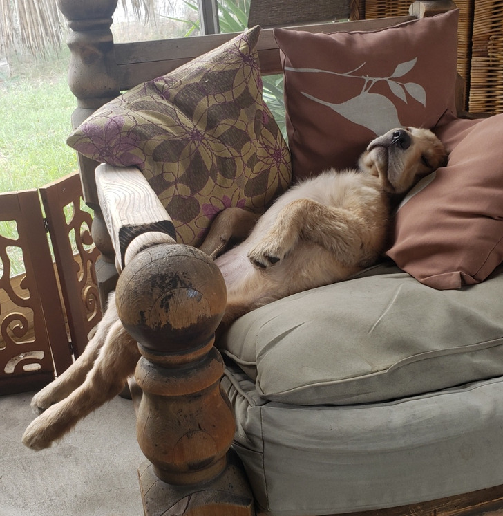 8530505c72b20216f653d5c1b7 8530505c72b20216f653d5c1b7